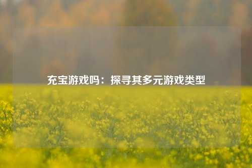 充宝游戏吗：探寻其多元游戏类型