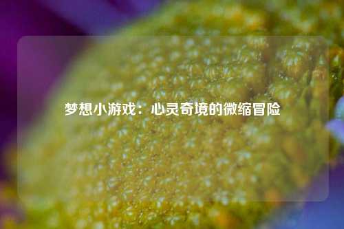 梦想小游戏：心灵奇境的微缩冒险