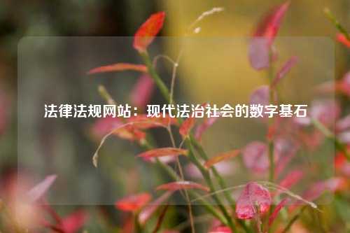 法律法规网站：现代法治社会的数字基石