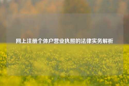 网上注册个体户营业执照的法律实务解析