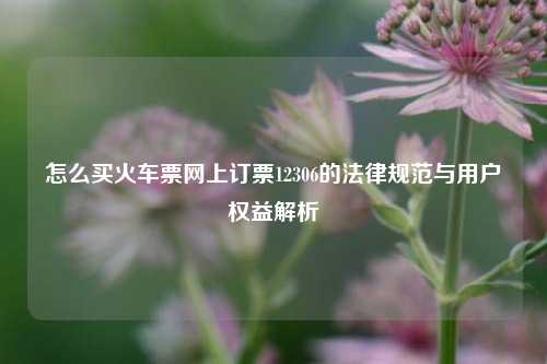 怎么买火车票网上订票12306的法律规范与用户权益解析
